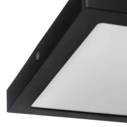 Paulmann Abia -LED-paneeli 30x30 cm, 2 700 K musta