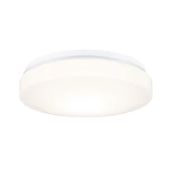 Paulmann Axin -kattovalaisin, halkaisija 26 cm, valkoinen, IP44, E27