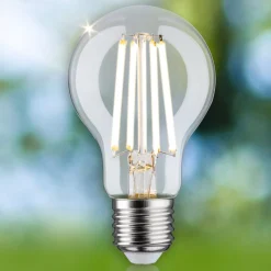 Paulmann Eco-Line-LED-lamppu E27 4W 840lm 3000K