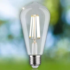Paulmann Eco-Line rustiikki LED E27 4W 840lm 4000K