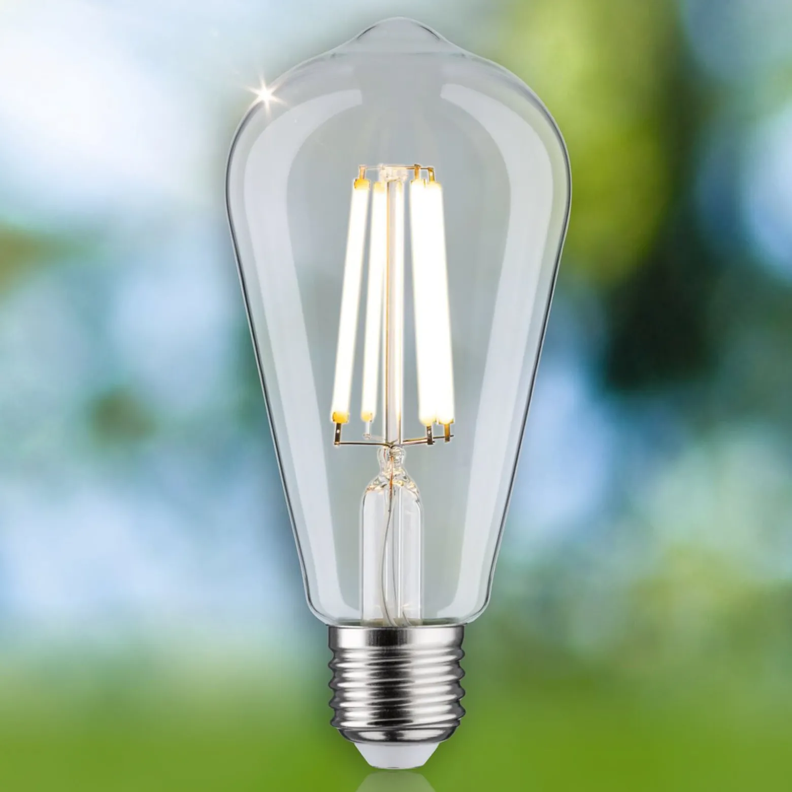 Paulmann Eco-Line rustiikki LED E27 4W 840lm 4000K
