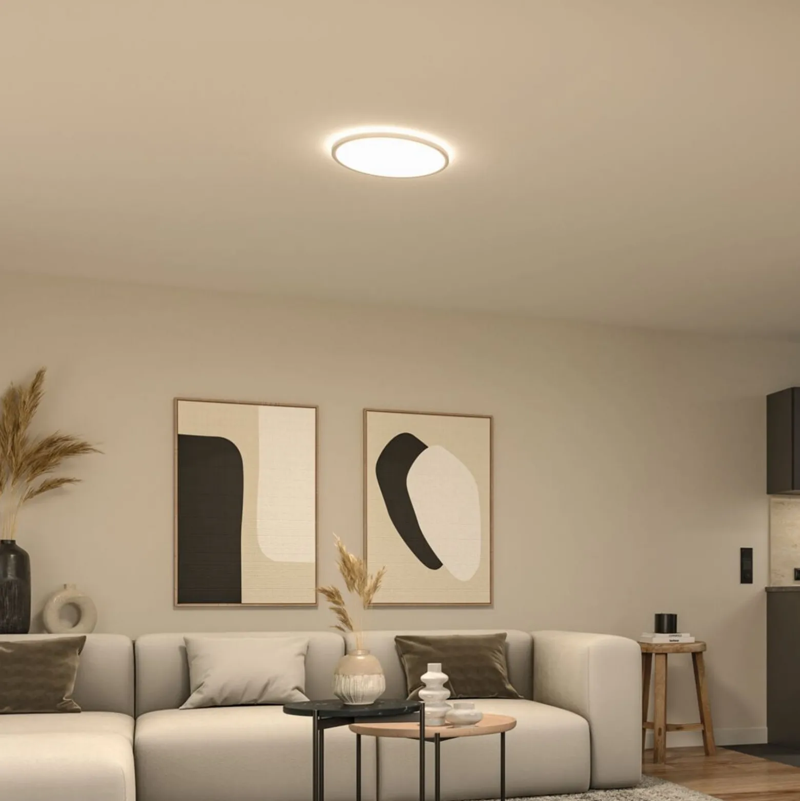 Paulmann LED-paneeli Atria Shine, halkaisija 40 cm, valkoinen, IP20, 3000 K,