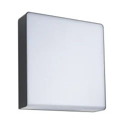 Paulmann LED-ulkoseinävalaisin Azalena, sensori, antrasiitti