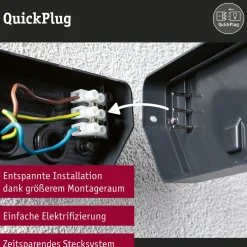 Paulmann LED-ulkoseinävalaisin Azalena, sensori, antrasiitti