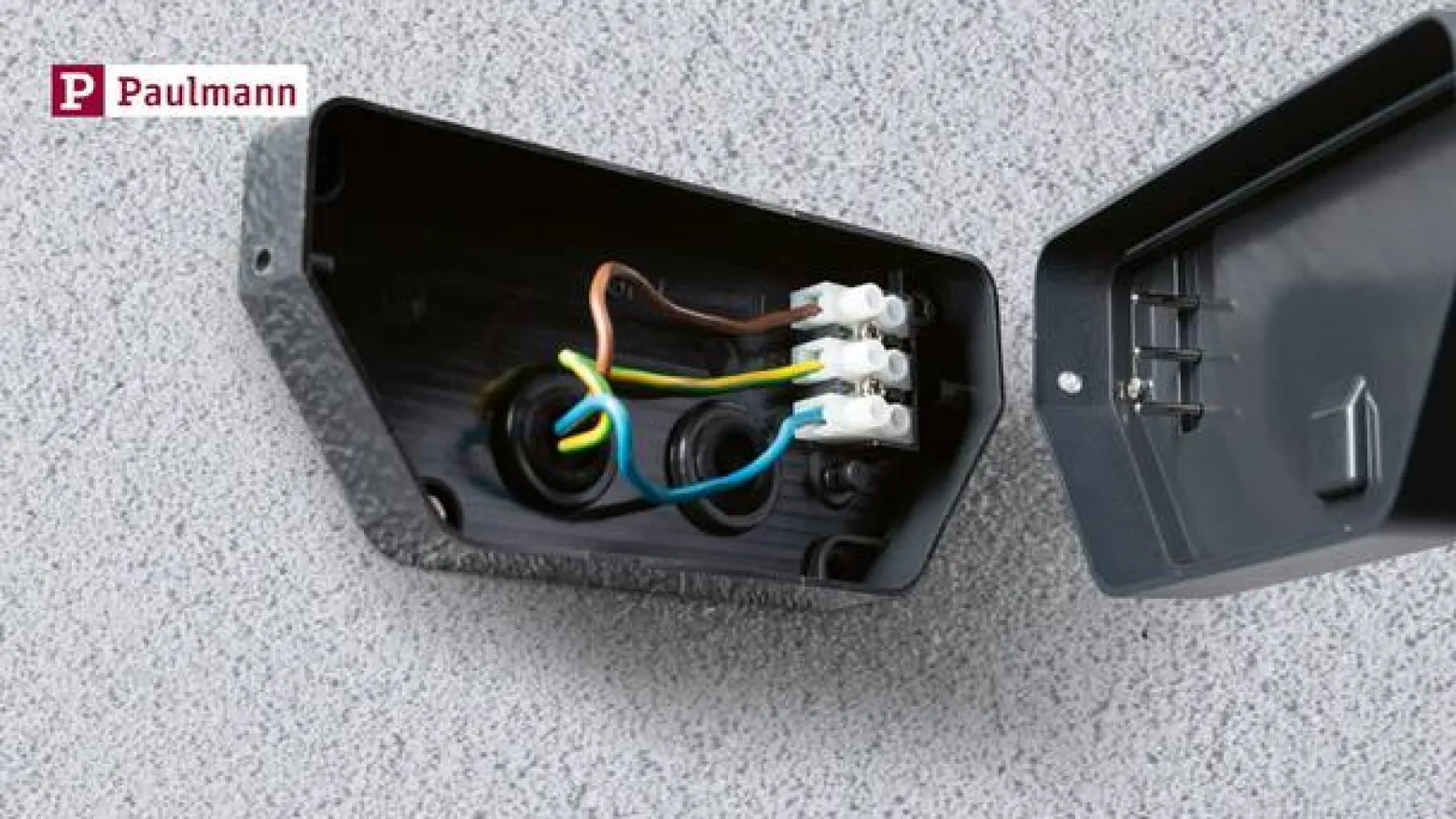 Paulmann LED-ulkoseinävalaisin Azalena, sensori, antrasiitti