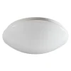 Paulmann Leonis -LED-kattovalaisin 3 000 K Ø 28 cm