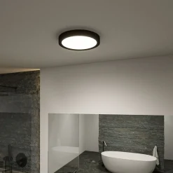 Paulmann Tega LED-kattovalaisin IP44 CCT musta