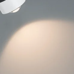 Paulman URail LED-kohdevalaisin Aldan, signaalivalkoinen, White Switch
