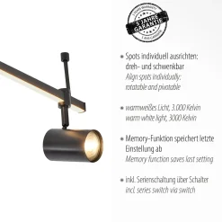 Paul Neuhaus LED-kattovalaisin Barik, 188 cm, säädettävä