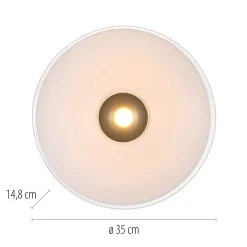Paul Neuhaus LED-kattovalaisin Elipsa, valkoinen/pronssi, Ø 35 cm