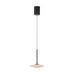 Paul Neuhaus LED-riippuvalaisin Elipsa, 1-lamppuinen, valkoinen/musta