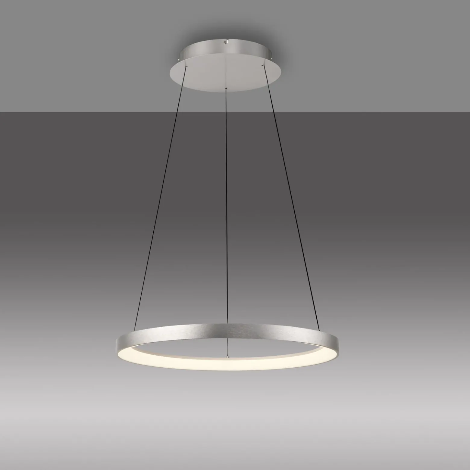 Paul Neuhaus LED-riippuvalaisin Hoop, alumiinin värinen, Ø 57cm, himmennettävä