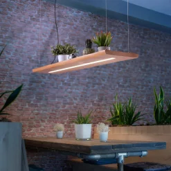 Paul Neuhaus LED-riippuvalaisin Palma, puu, CCT, himmennettävä, 120cm