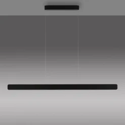 Paul Neuhaus LED-riippuvalaisin Q-Stretto, musta, 120 cm