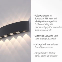 Paul Neuhaus LED-ulkoseinävalaisin Carlo, 27 cm, musta