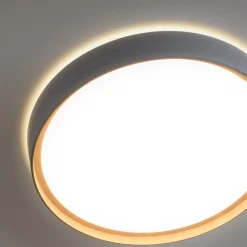 Paul Neuhaus Q-EMILIA LED-kattovalaisin, harmaa/puu