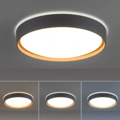 Paul Neuhaus Q-EMILIA LED-kattovalaisin, harmaa/puu