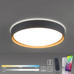 Paul Neuhaus Q-EMILIA LED-kattovalaisin, harmaa/puu