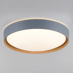 Paul Neuhaus Q-EMILIA LED-kattovalaisin, harmaa/puu