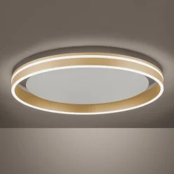 Paul Neuhaus Q-VITO LED-kattovalaisin, Ø 60cm