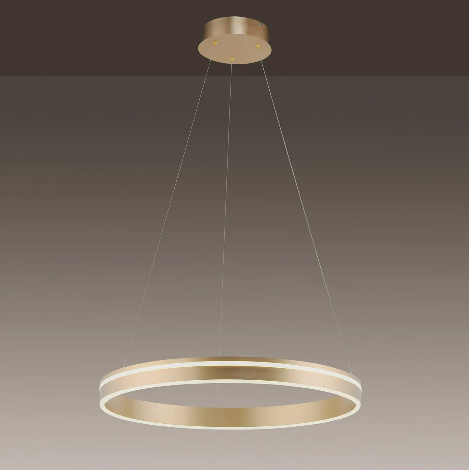 Paul Neuhaus Q-VITO -LED-riippuvalaisin, 1 rengas