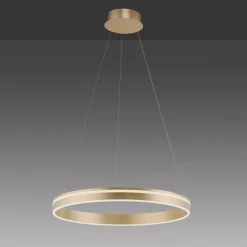 Paul Neuhaus Q-VITO -LED-riippuvalaisin, 1 rengas
