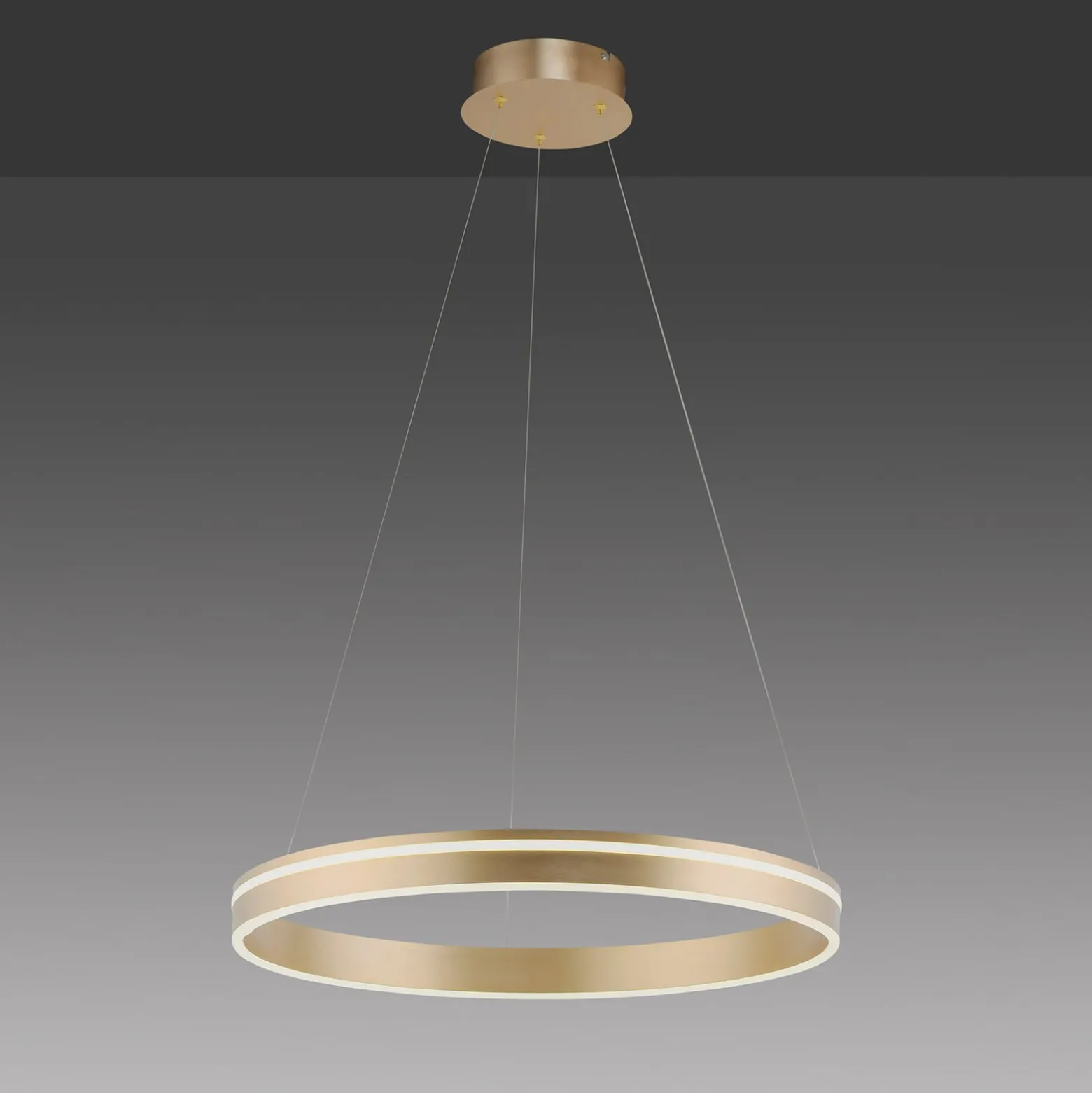 Paul Neuhaus Q-VITO -LED-riippuvalaisin, 1 rengas