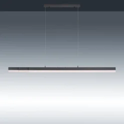 Paul Neuhaus Sina -LED-riippuvalaisin CCT Touch