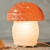 Pilz-suolalamppu