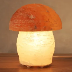 Pilz-suolalamppu