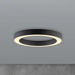 PURE Lines -LED-kattovalaisin, halkaisija 35 cm, grafiitti, CCT, kaukosäädin