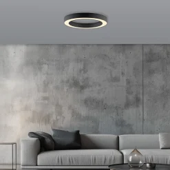 PURE Lines -LED-kattovalaisin, halkaisija 35 cm, grafiitti, CCT, kaukosäädin