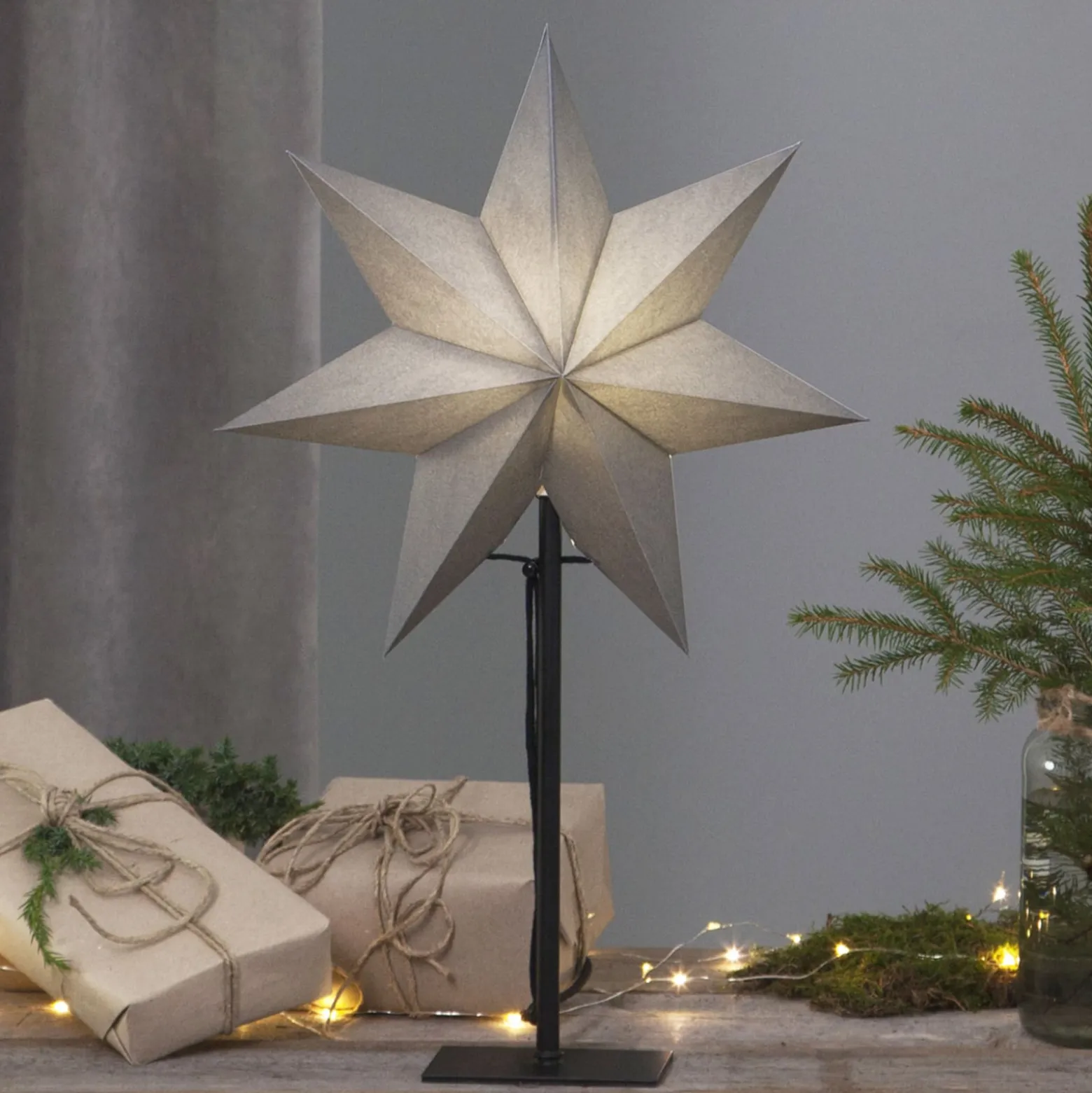 Seisova tähti Ozen, korkeus 55 cm