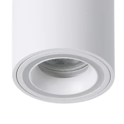 Smart ZIG LED-kattovalaisin Carosso-Z, valkoinen, CCT, RGB