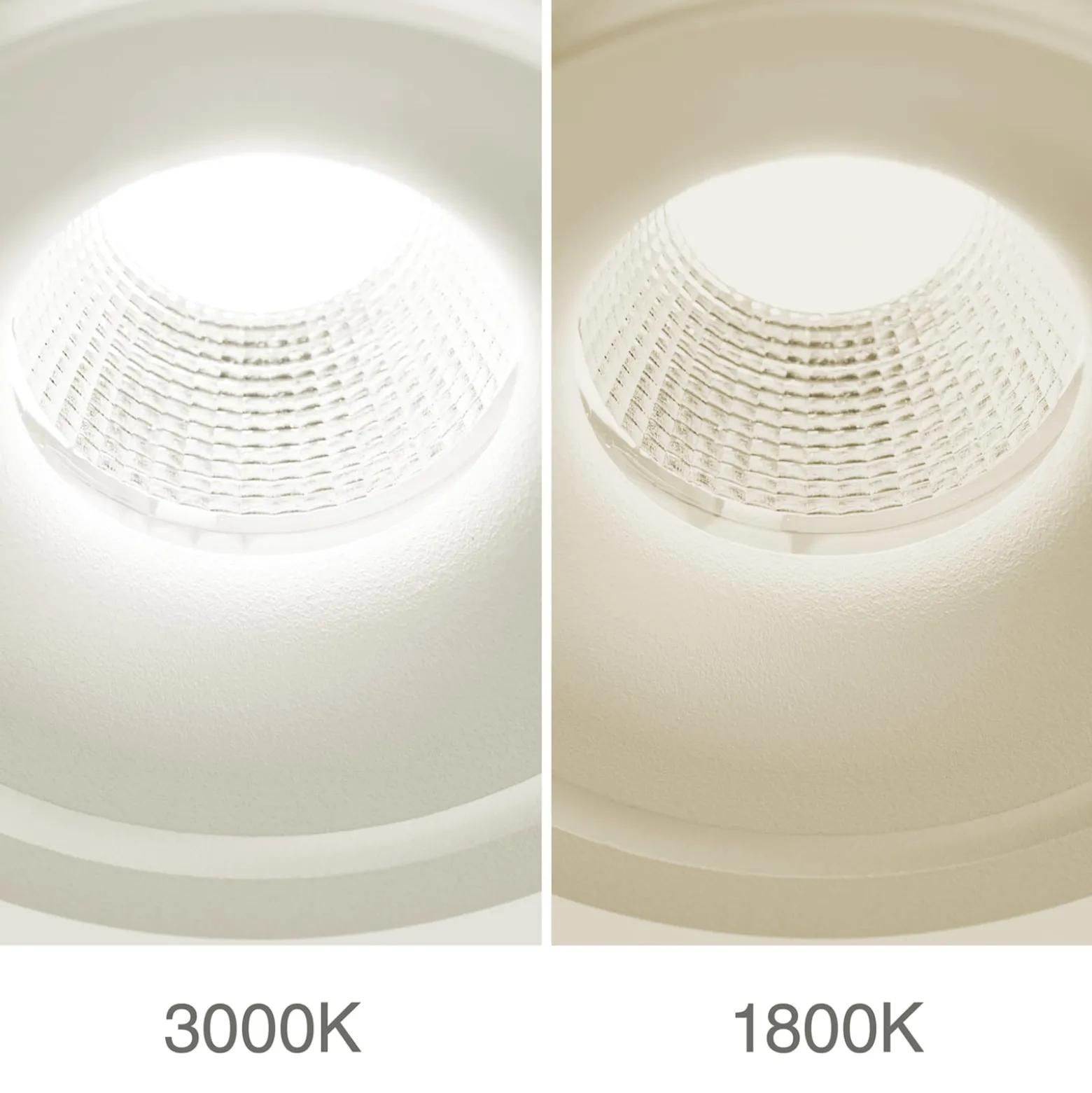 Specter LED-kattovalaisin, valkoinen, pituus 19,4 cm, alumiini, 2-valo.