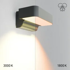 STEINEL LED-anturi ulkoseinävalaisin L 800 SC, antrasiitti IP44