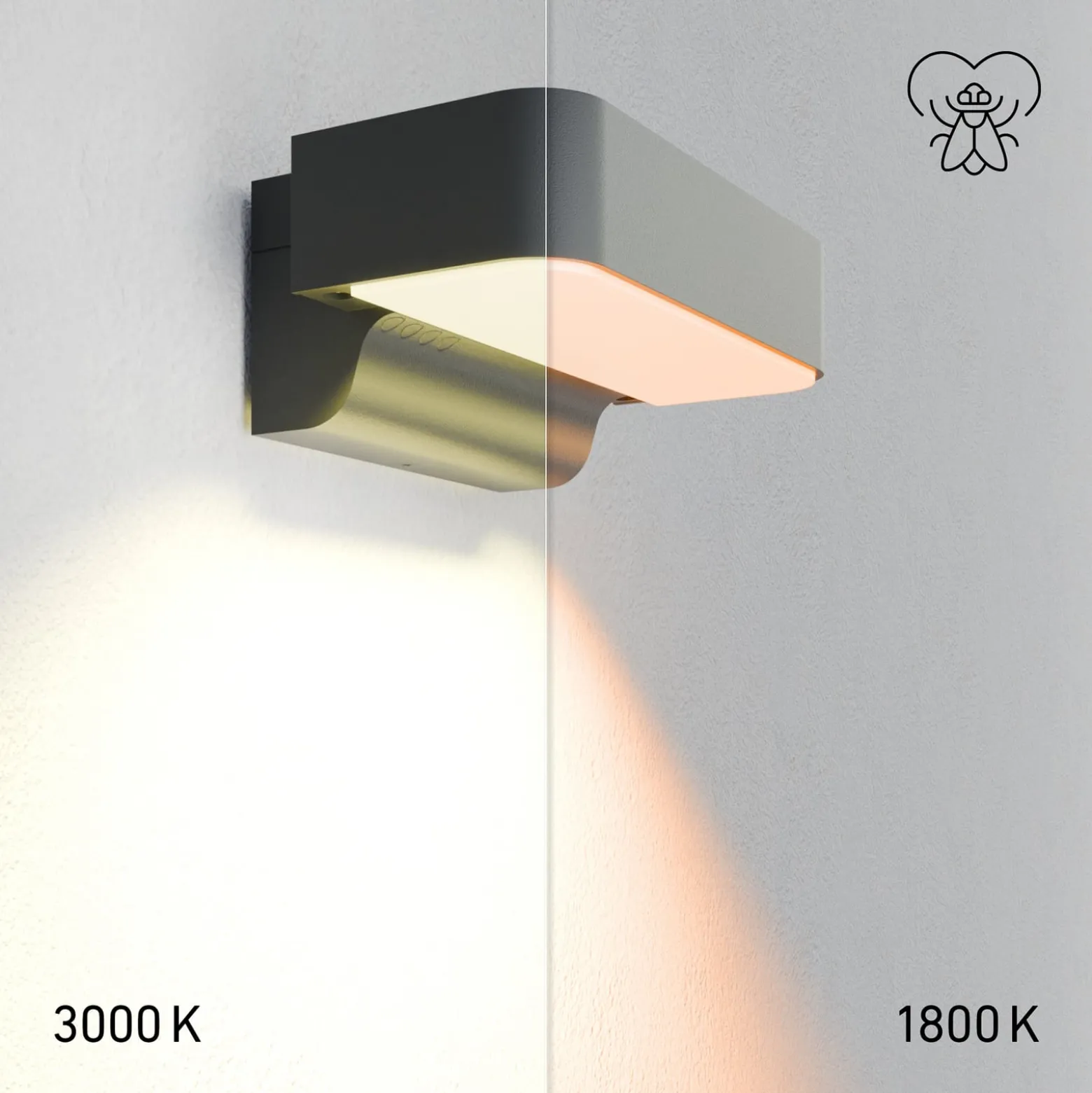STEINEL LED-anturi ulkoseinävalaisin L 800 SC, antrasiitti IP44