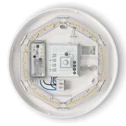 STEINEL RS Pro P2 S -hätävalo tunnistin LED 3000 K