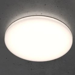 STEINEL RS PRO R20 basic SC -LED-kattovalo 3000K