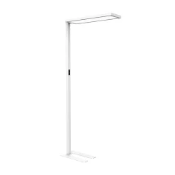 Toimiston LED-lattiavalaisin MAULsenja, valkoinen, anturi, korkeus 196 cm