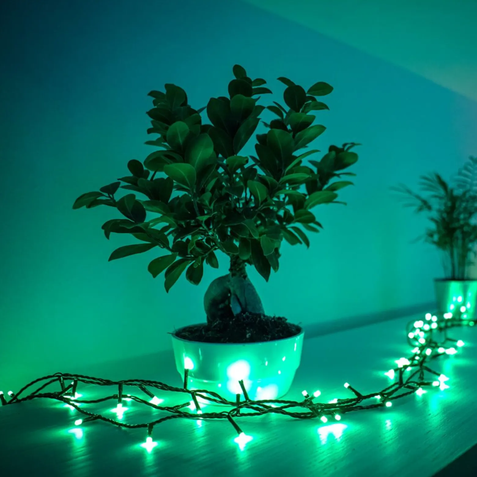 Twinkly RGB keijuvalot, musta, 250 valoa 20m