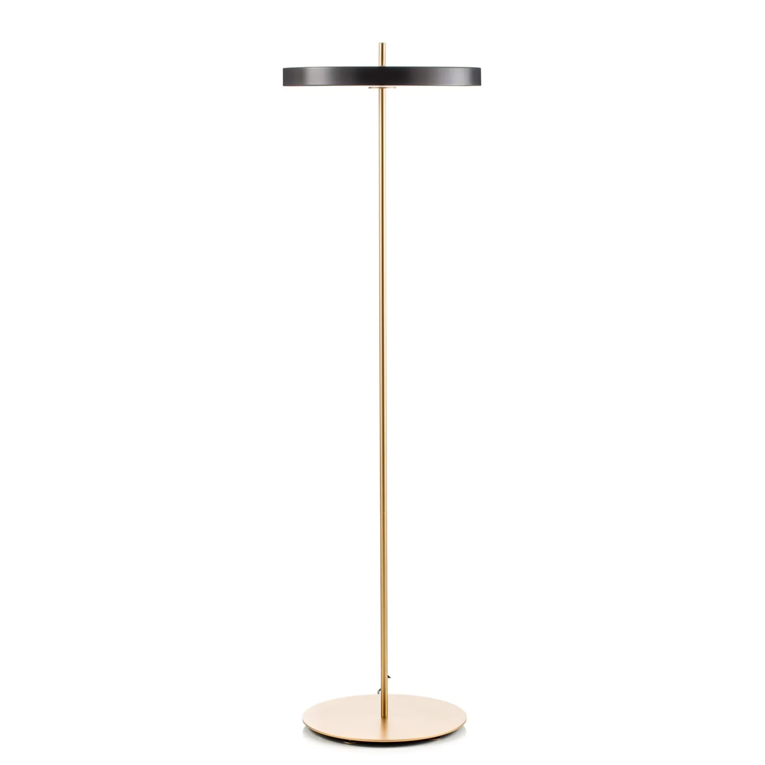 UMAGE Asteria Floor LED-lattiavalo antrasiitti