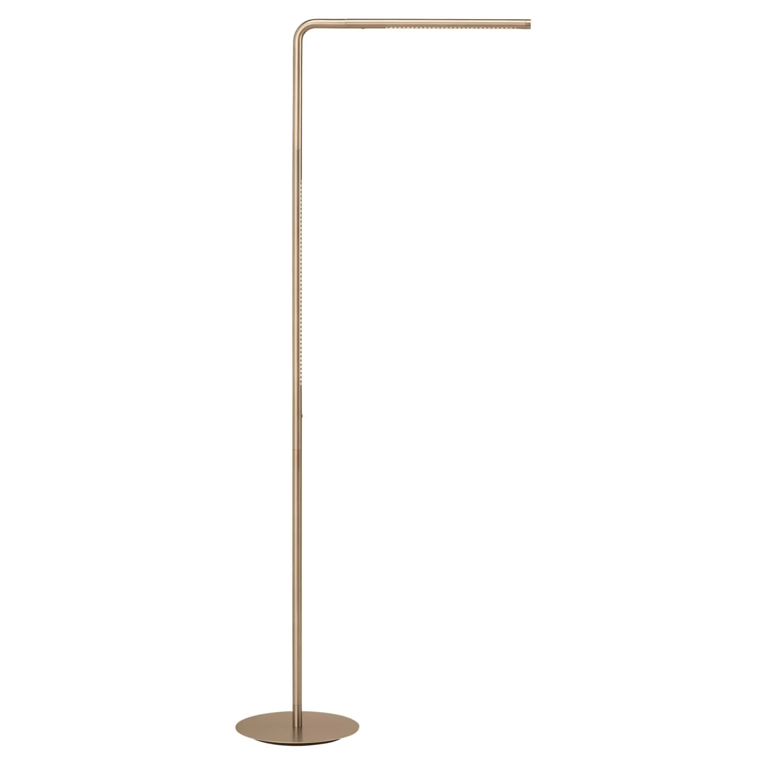 UMAGE LED-lattiavalo Omni, messinkivärinen, korkeus 143 cm, 2-lamppuinen.