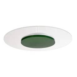 Zaniah LED-kattovalaisin, 360° valo, 24W, vihreä